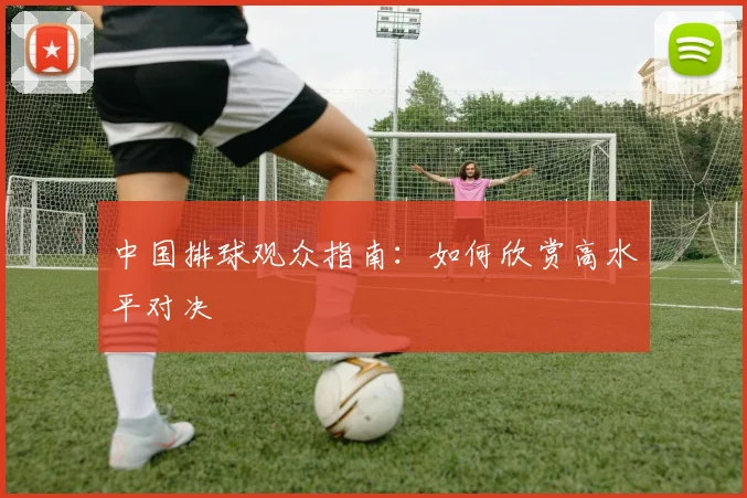 中国排球观众指南:如何欣赏高水平对决
